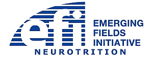 EFI-Logo